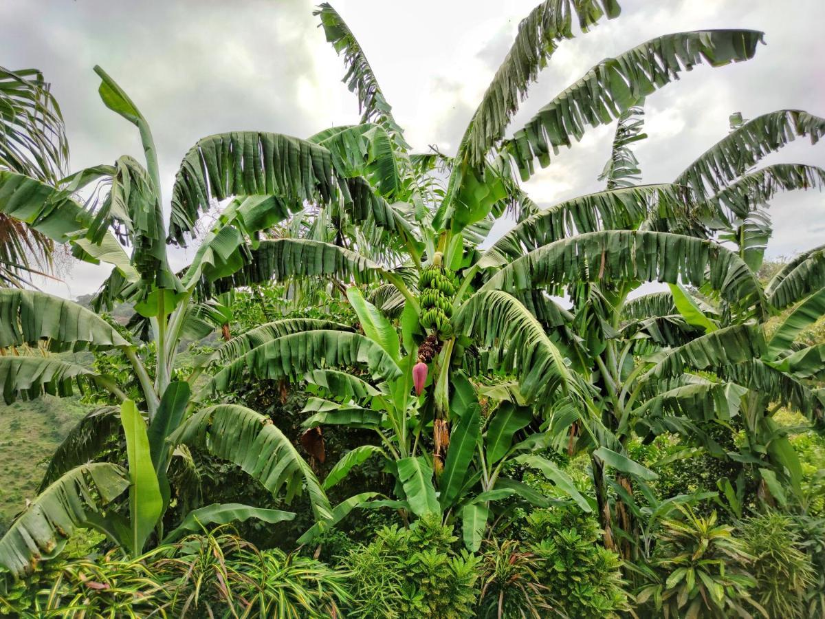 Finca Cuipo Buritaca Luaran gambar